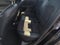 2020 Kia Forte GT-Line