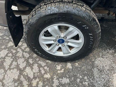 2019 Ford F-150 XLT 4WD SuperCrew 5.5' Box