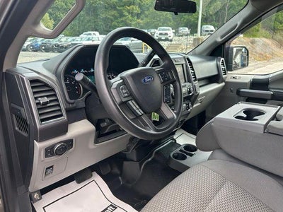 2019 Ford F-150 XLT 4WD SuperCrew 5.5' Box