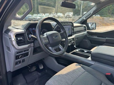 2023 Ford F-150 XLT 4WD SuperCab 6.5' Box