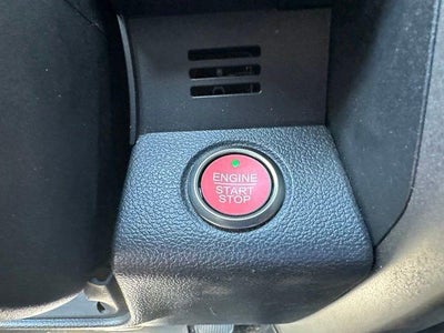 2019 Ford F-150 Raptor 4WD SuperCrew 5.5' Box